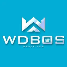 WDBOS - Petualangan Epic dalam Dunia ARPG